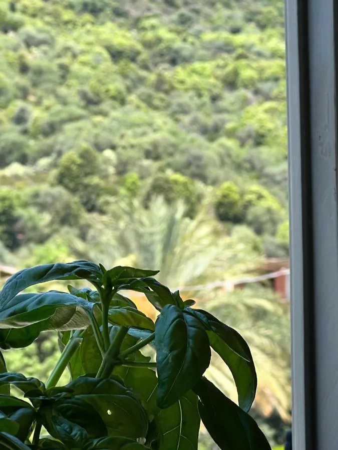 Sa Dommu De Funtanedda - Affitti Brevi Italia Lägenhet Triei